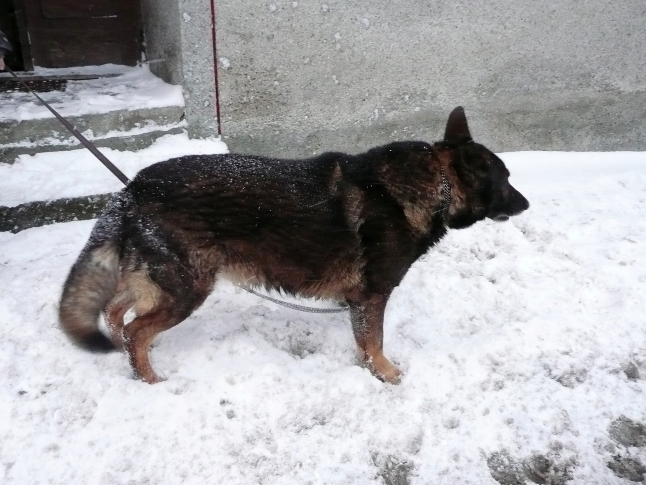 Miky 010.jpg