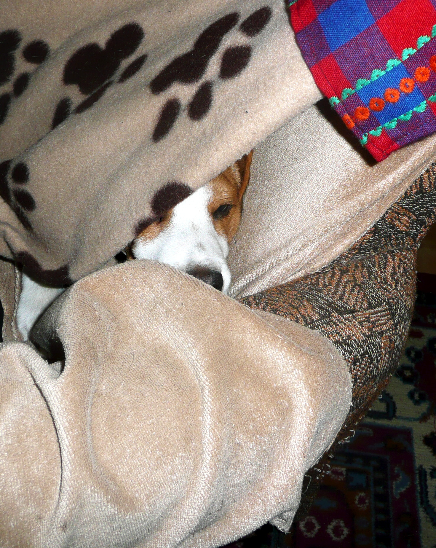 P1050628.JPG