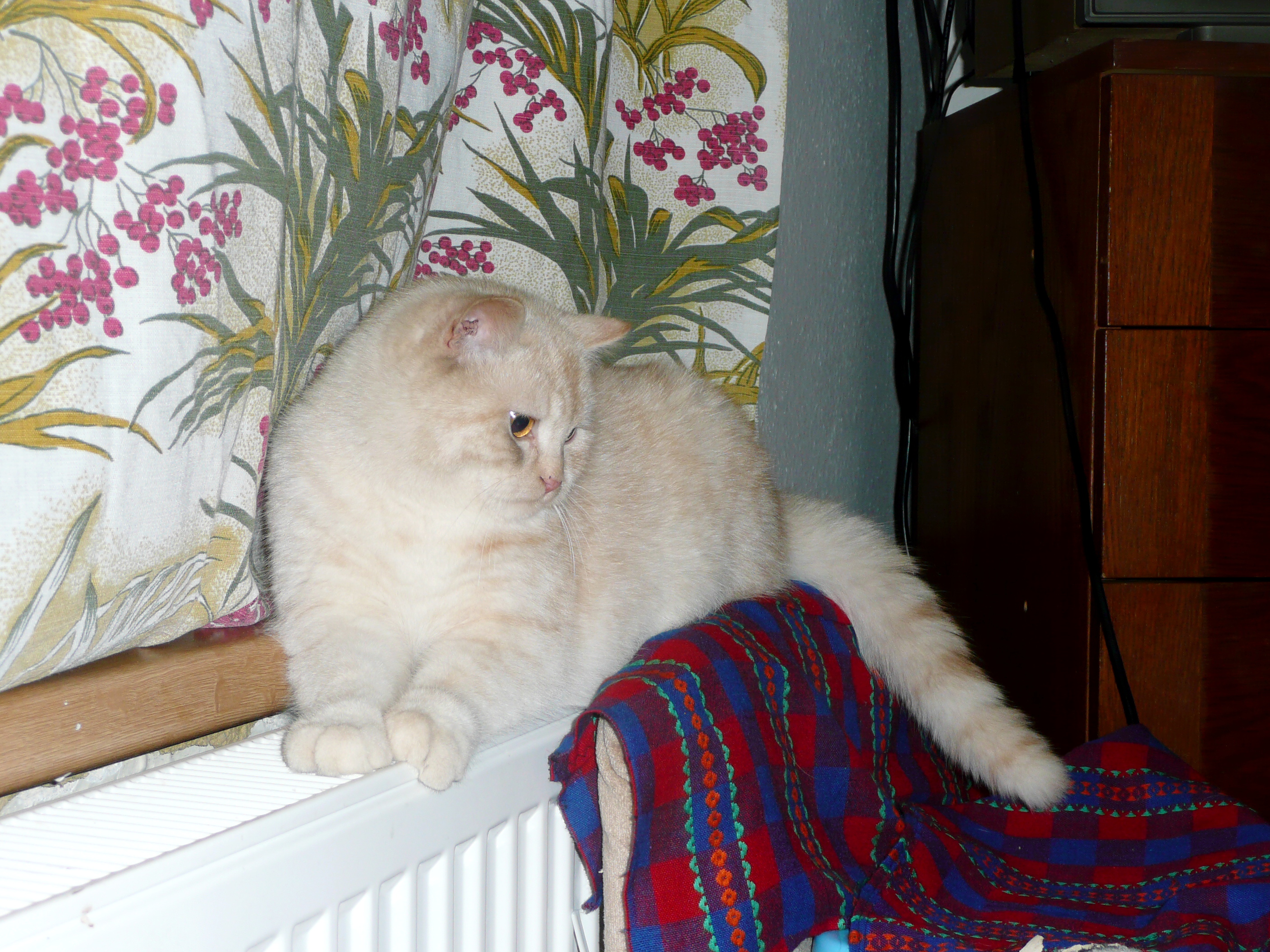 leden 2010 028.jpg